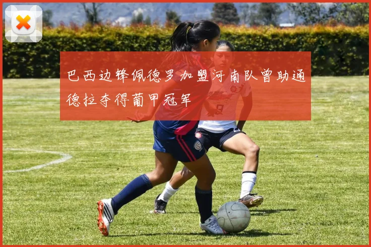 巴西边锋佩德罗加盟河南队曾助通德拉夺得葡甲冠军